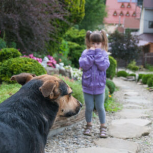 Little girl is scared by a dog.